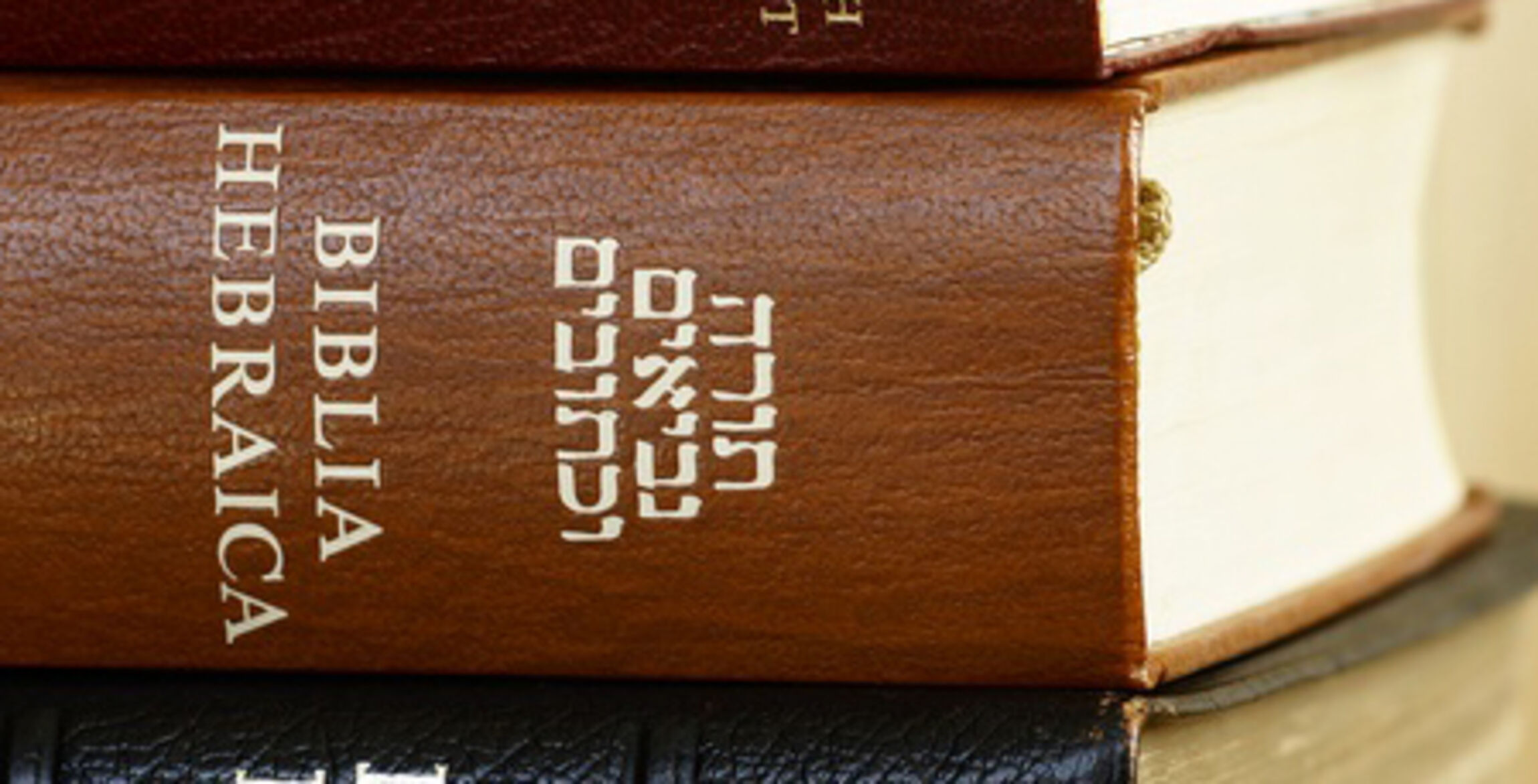 Aus-alt-mach-Neu-Holy-Bible-in-different-languages_auschnitt_2