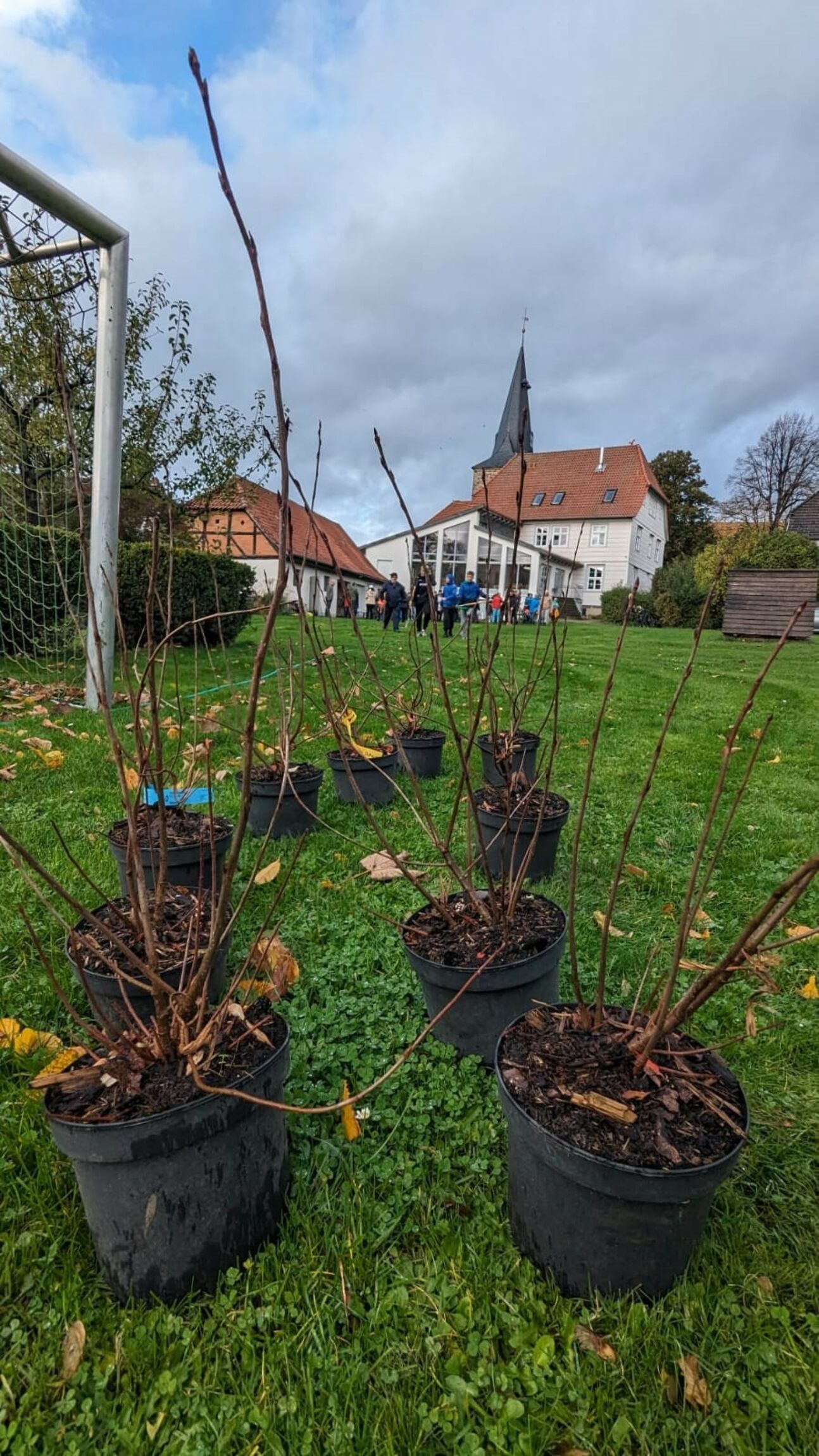 Verschiedene Sortenauswahl an Vogelnährgehölzen. Foto: Thal Jochmann