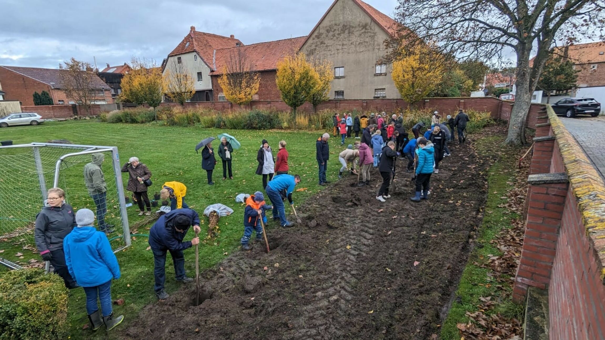 Beetneugestaltung mit heimischen Stauden und Gehölzen. Foto: Thal Jochmann