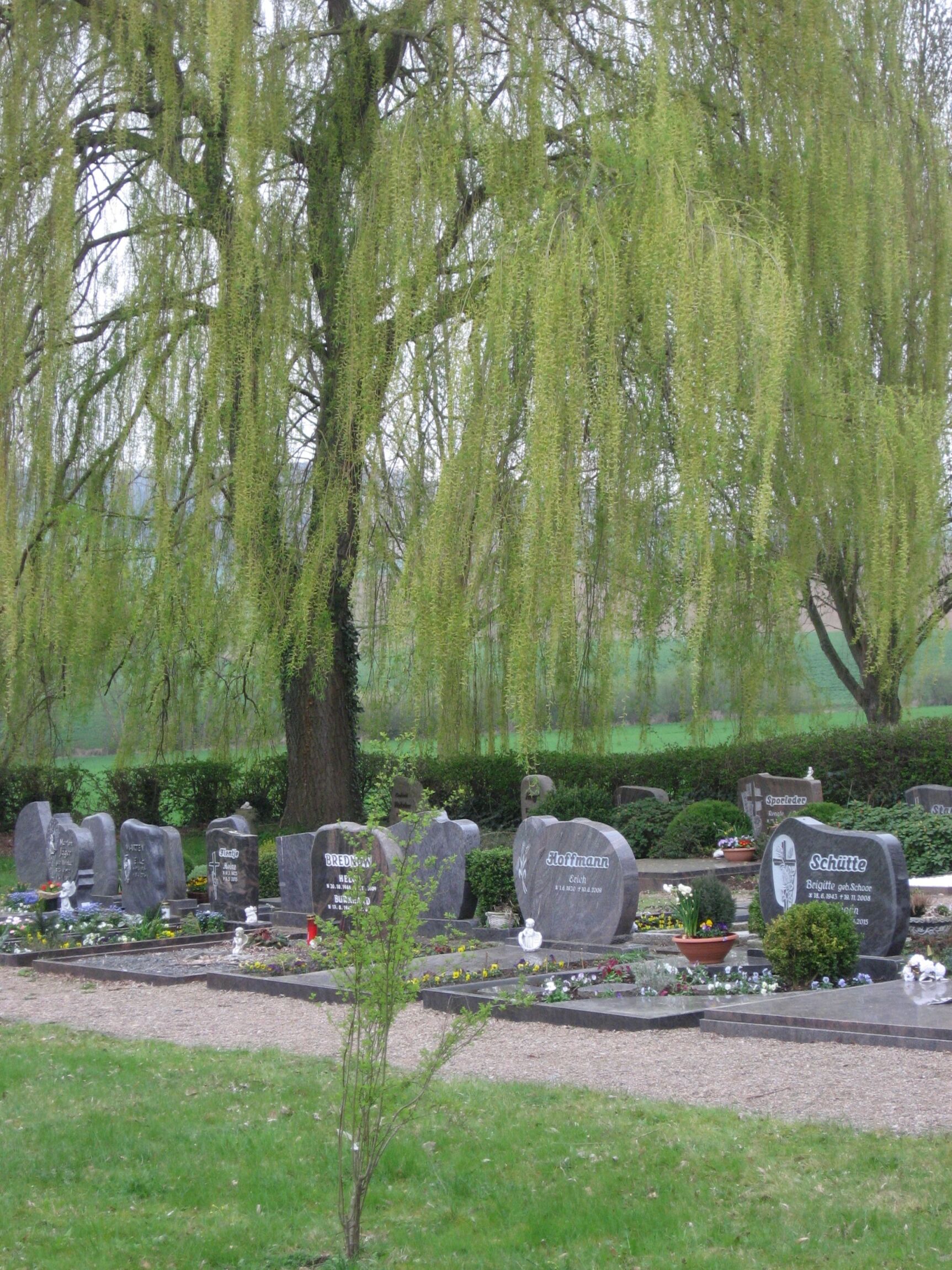 Dohnser Friedhof