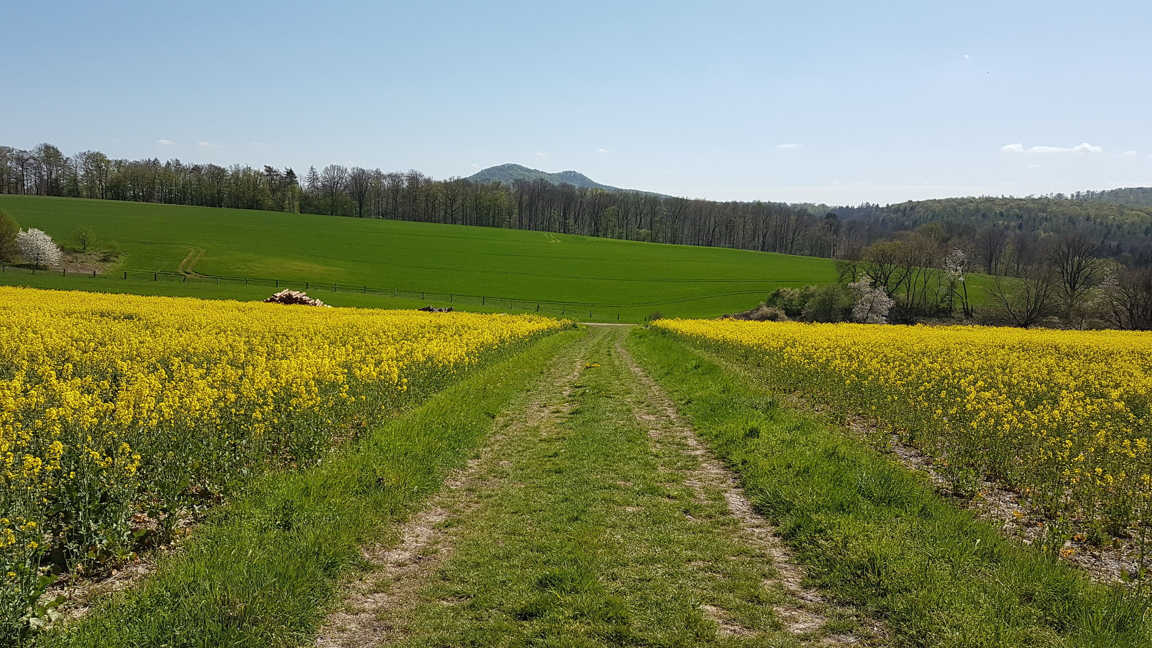 Die Gleichen (Foto: L. Heinke)