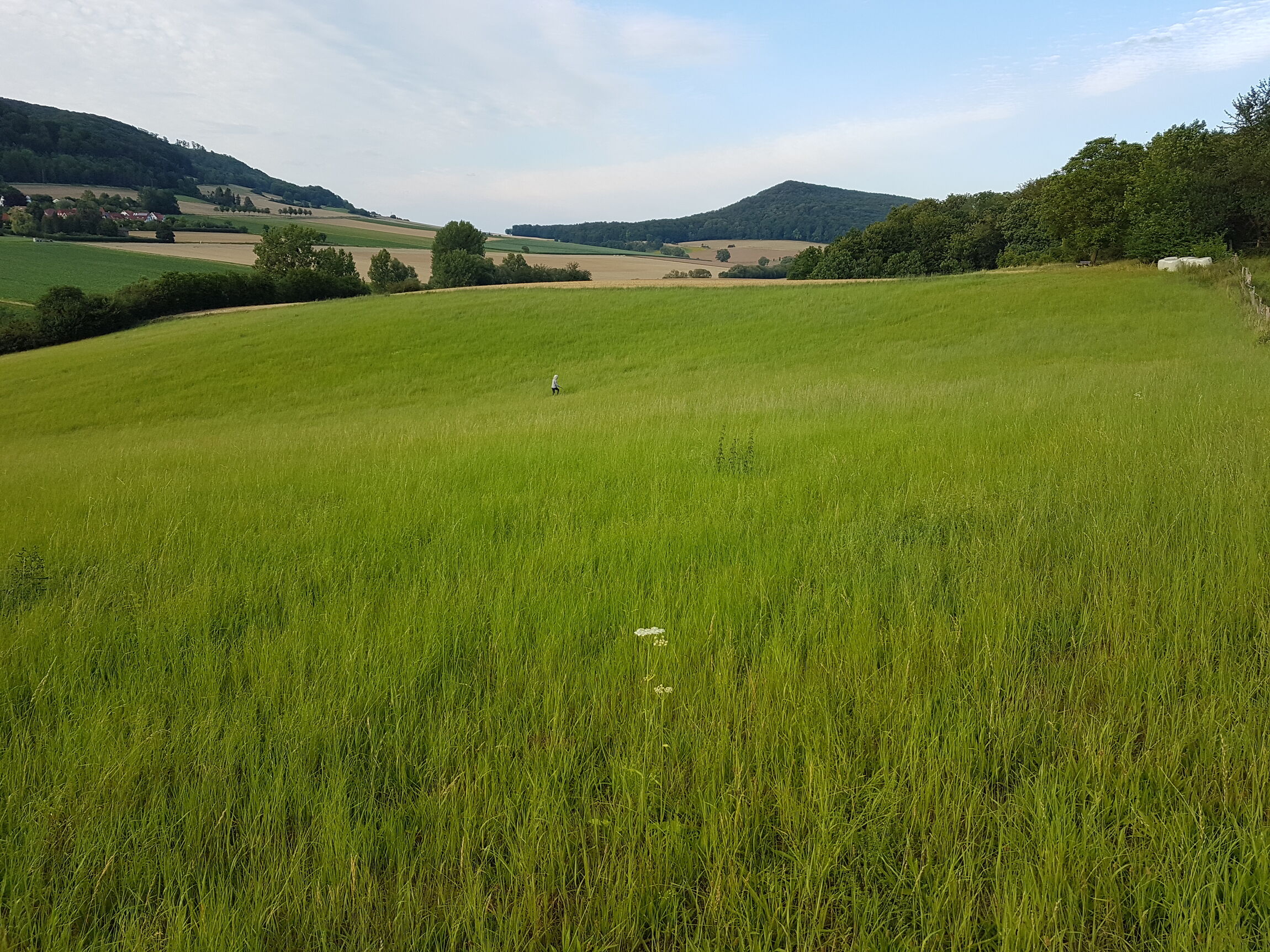 Weit (Foto: L. Heinke)