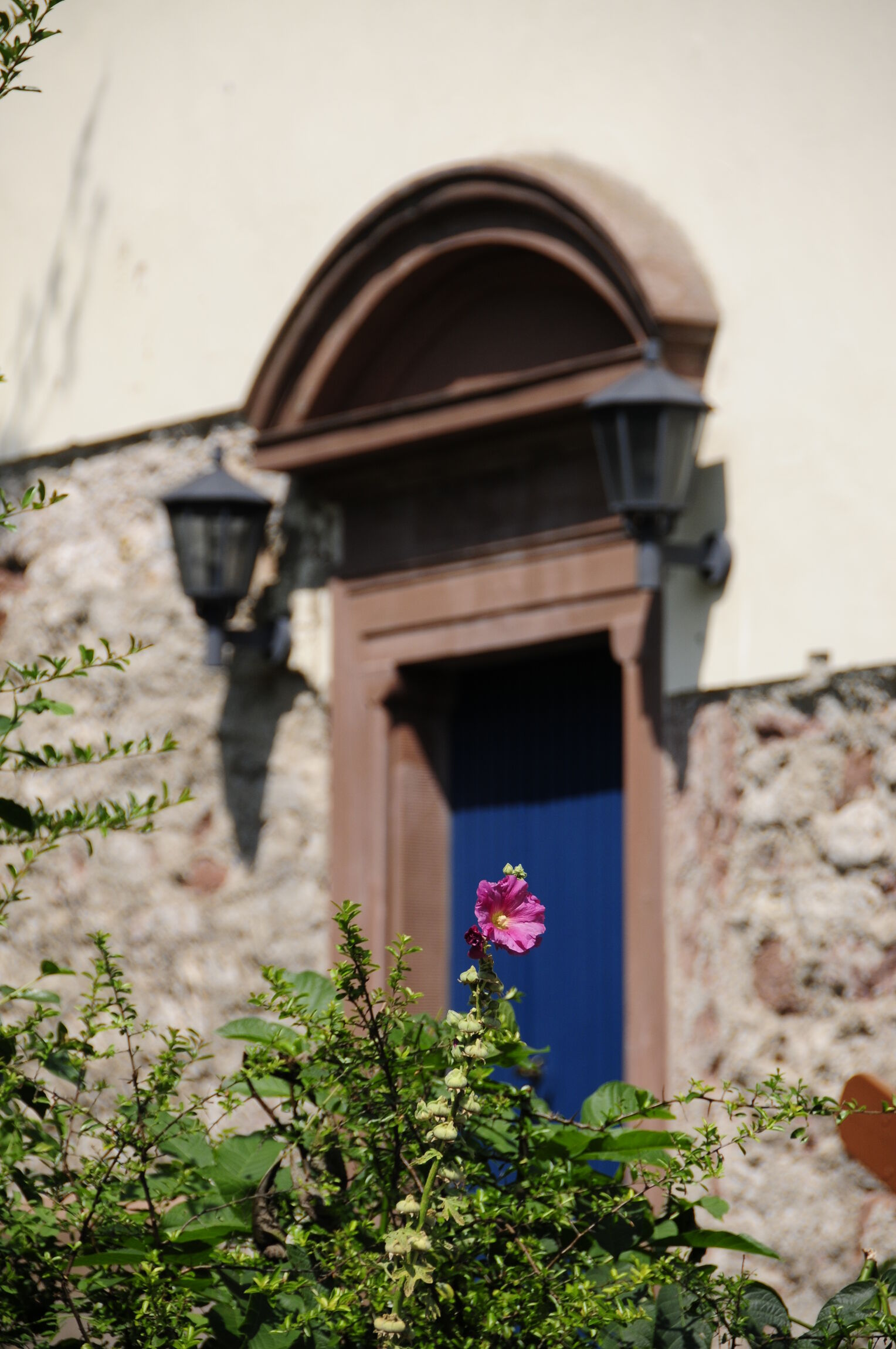 Kirche Eingangtür mit Blume