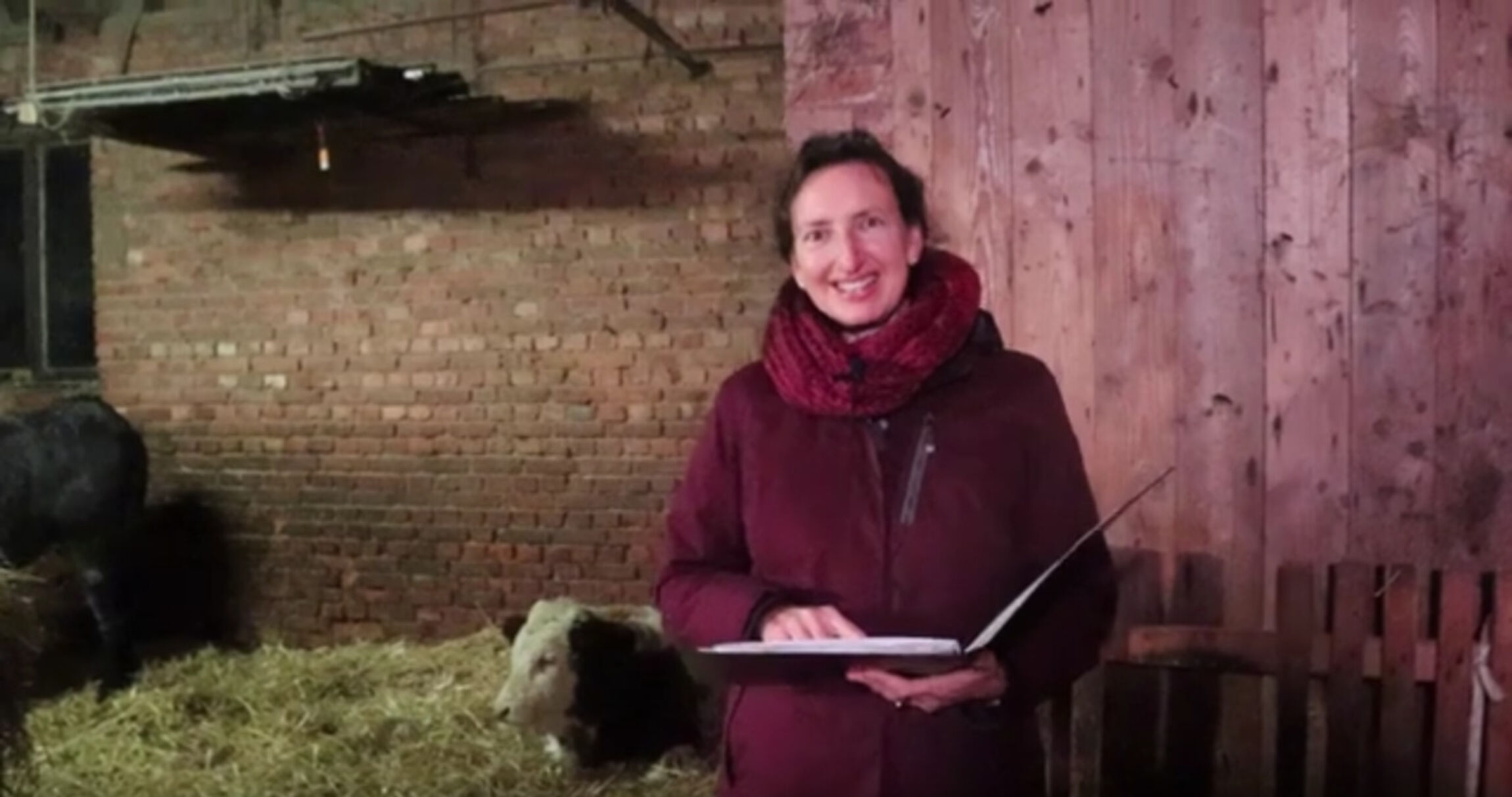 Winachtsgeschichte op platt