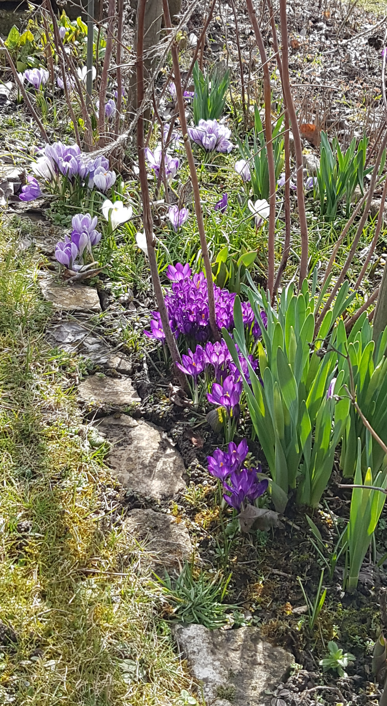 Frühling (Foto: L. Heinke)