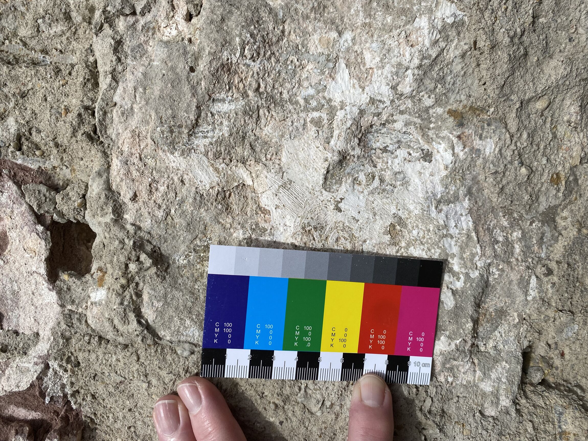 Reste der historischen Kalkschlämme (Foto:H. Meenken)