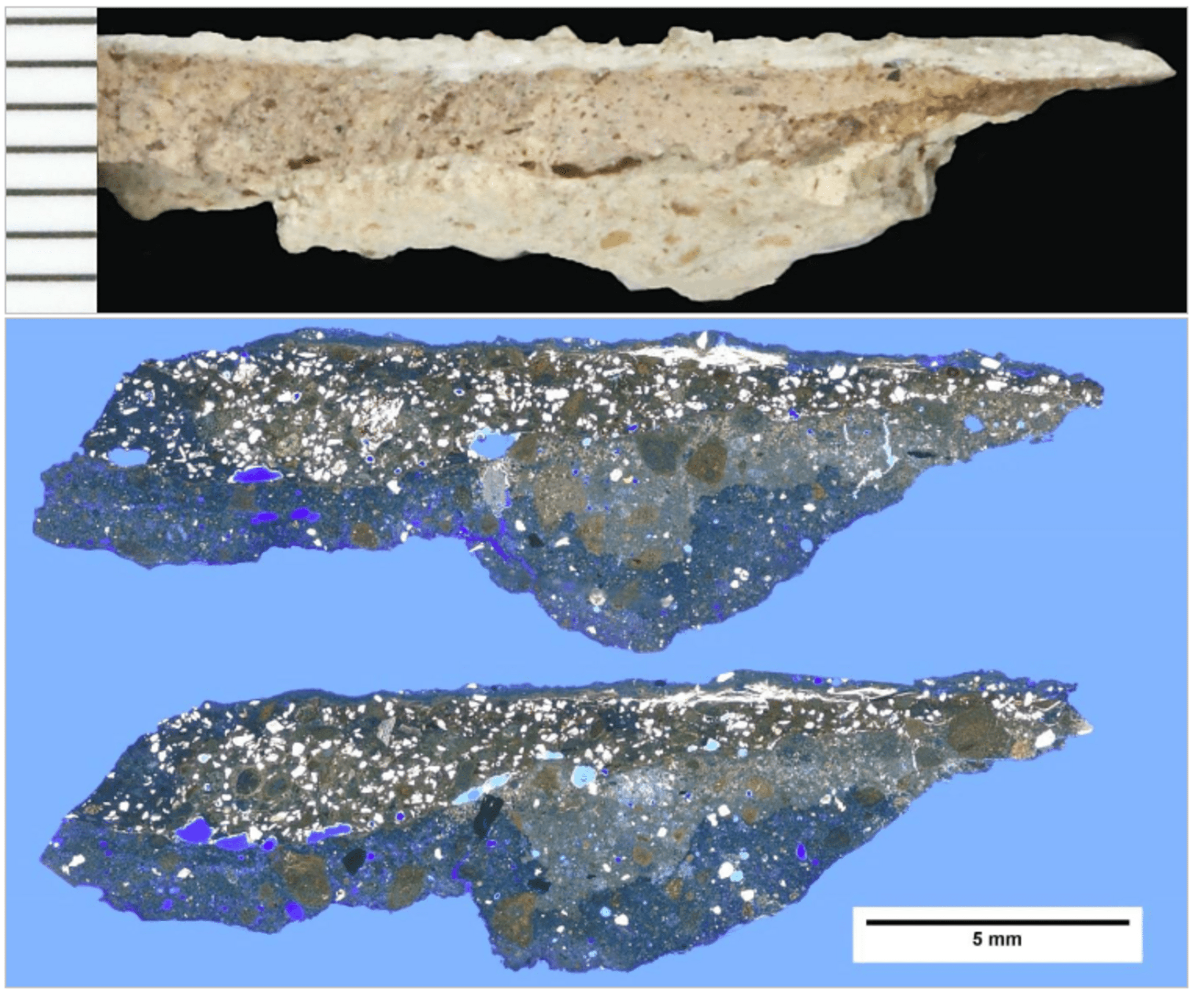 Dünnschliff - Vergipsung durch Sauren Regen (Foto: H. Meenken)