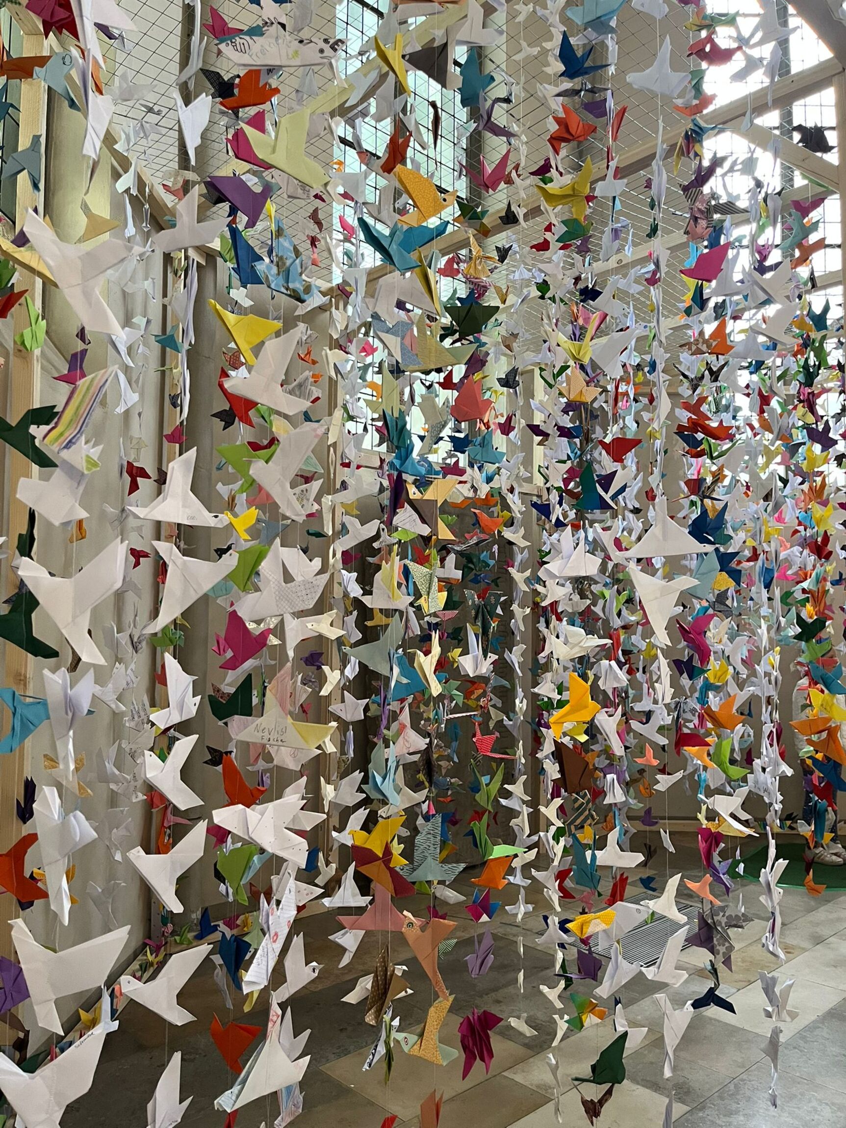 Kraniche als Symbol (Foto: H. Herrmann)