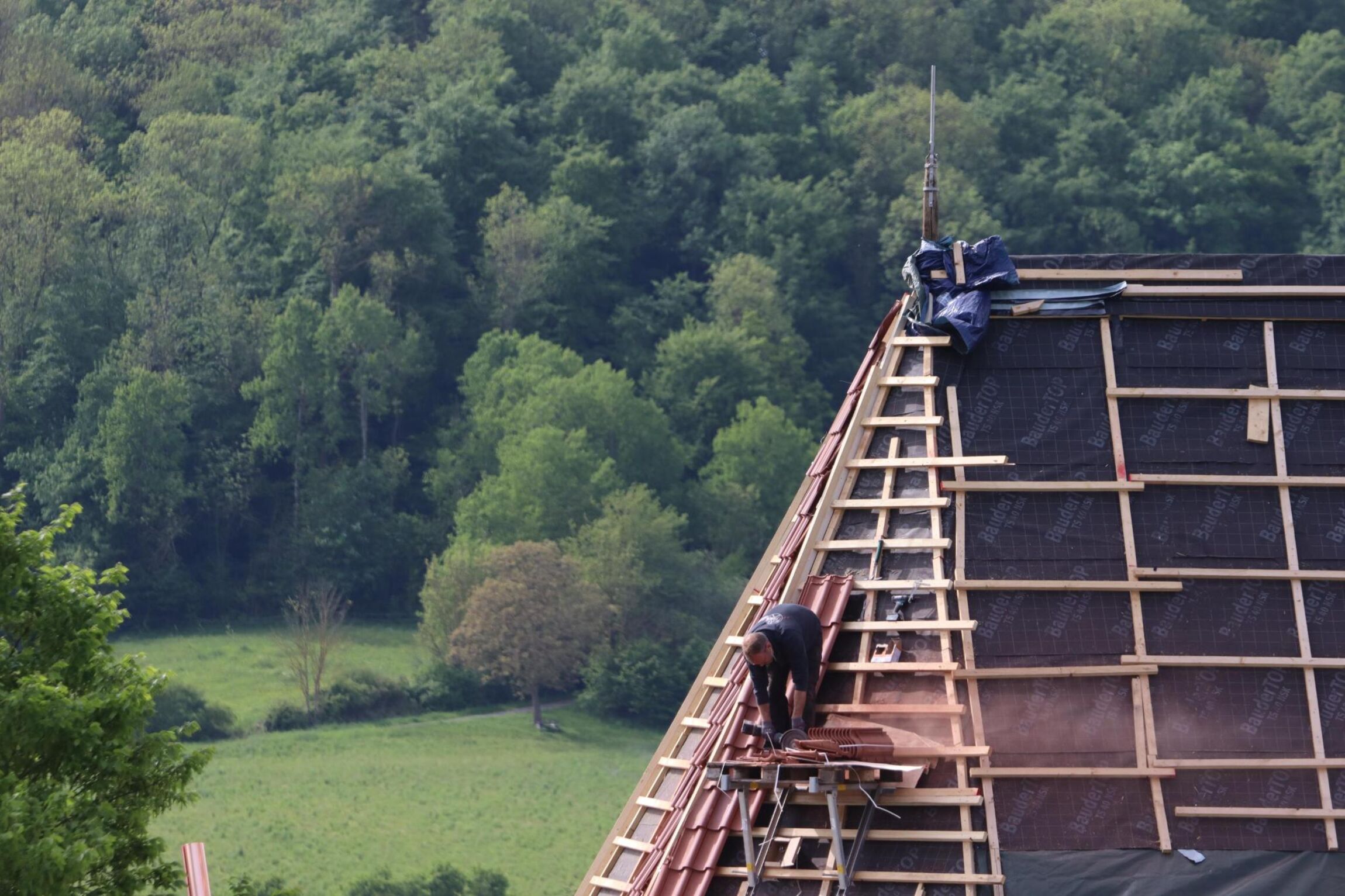 Arbeiten in großer Höhe Anfang Mai (Foto: T. Beckermann)