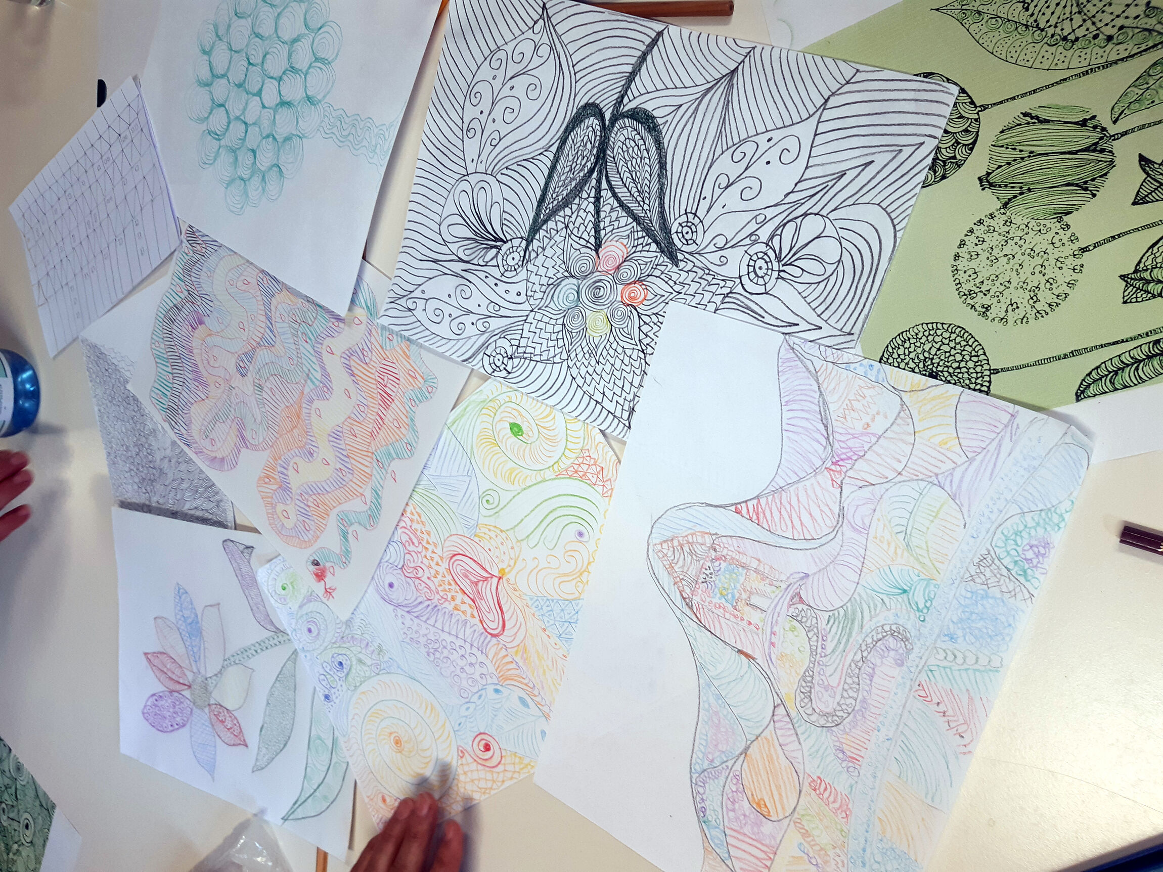 ... und einige Ergebnisse (Foto: E. Baier)