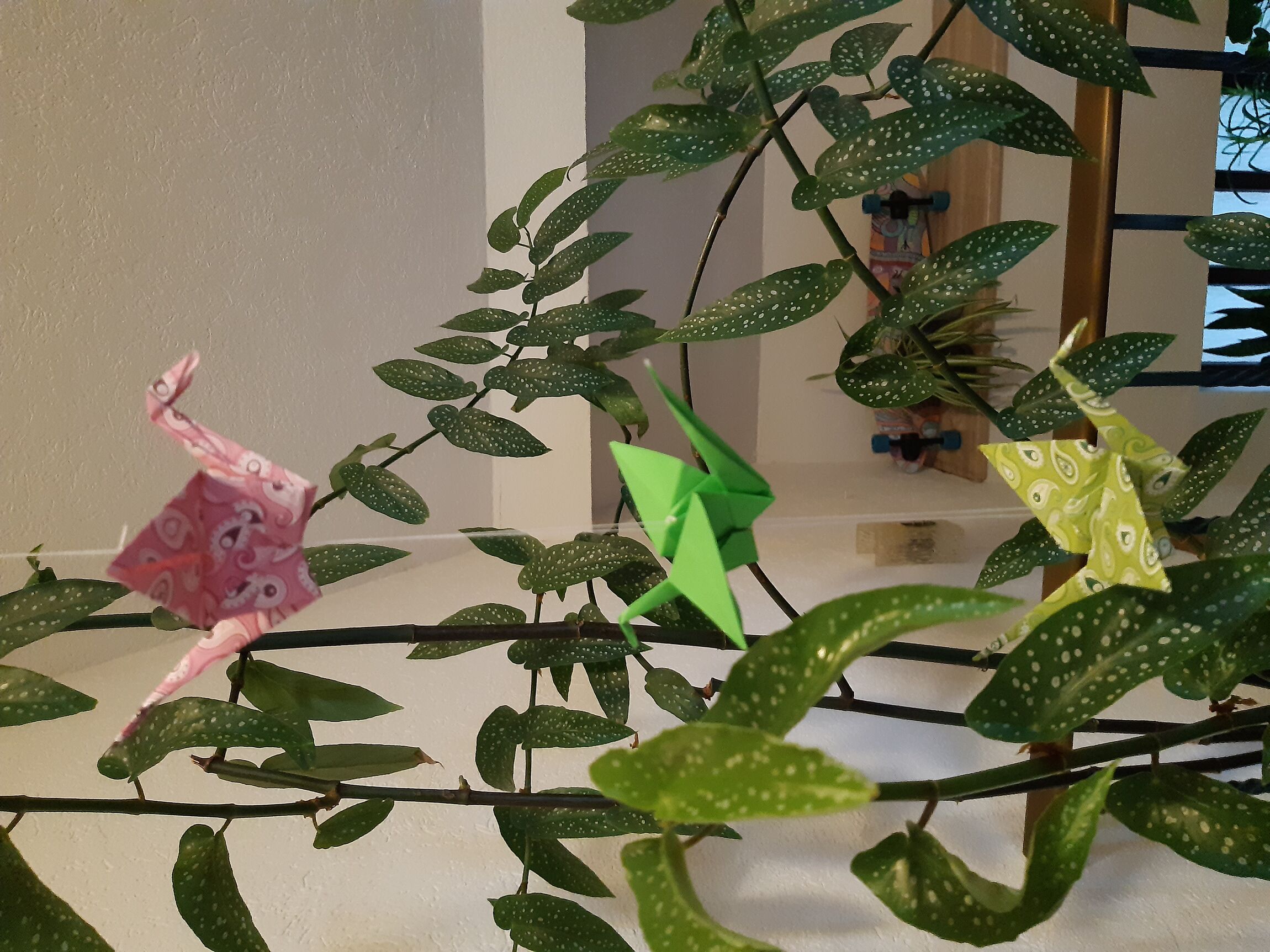 Die Kraniche fliegen wieder (Foto: E. Baier)