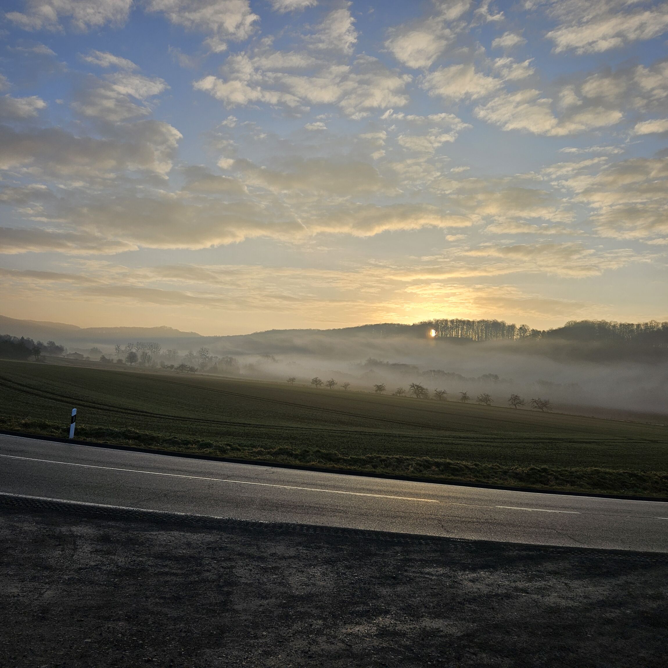 Morgennebel (Foto: L. Heinke)