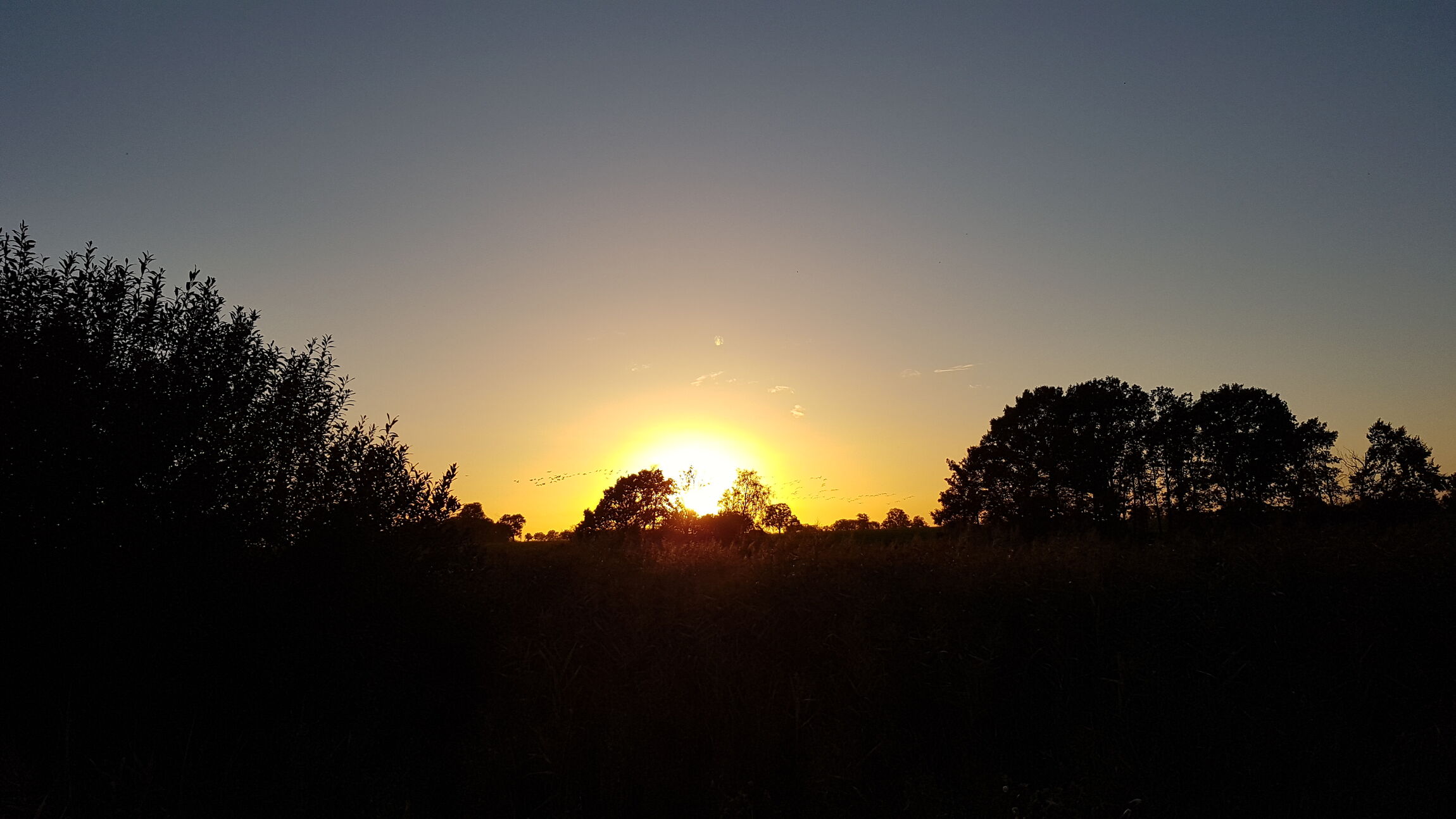 Sonne und Vögel (Foto: L. Heinke)