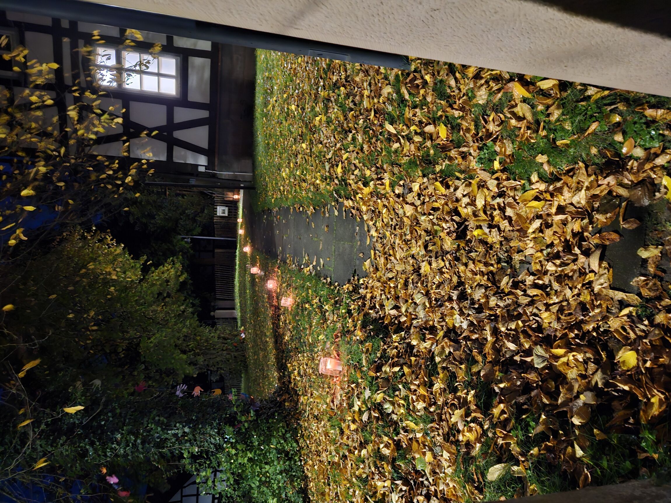 Weg im Herbst (Foto: L. Heinke)