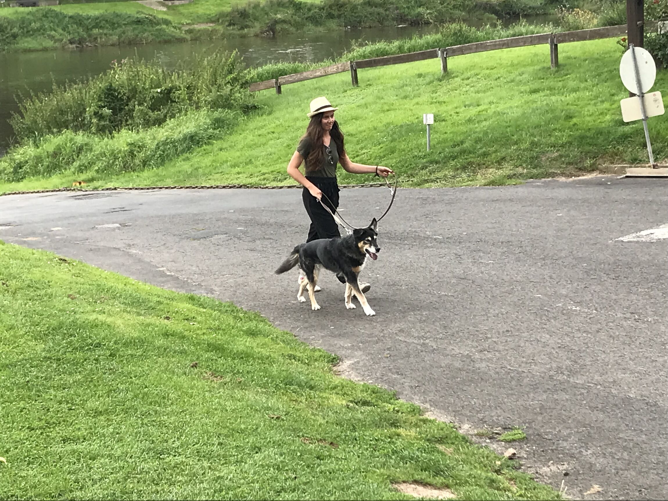 Junge Frau mit Hütehund und Stock, Weg und grüne Wiesen