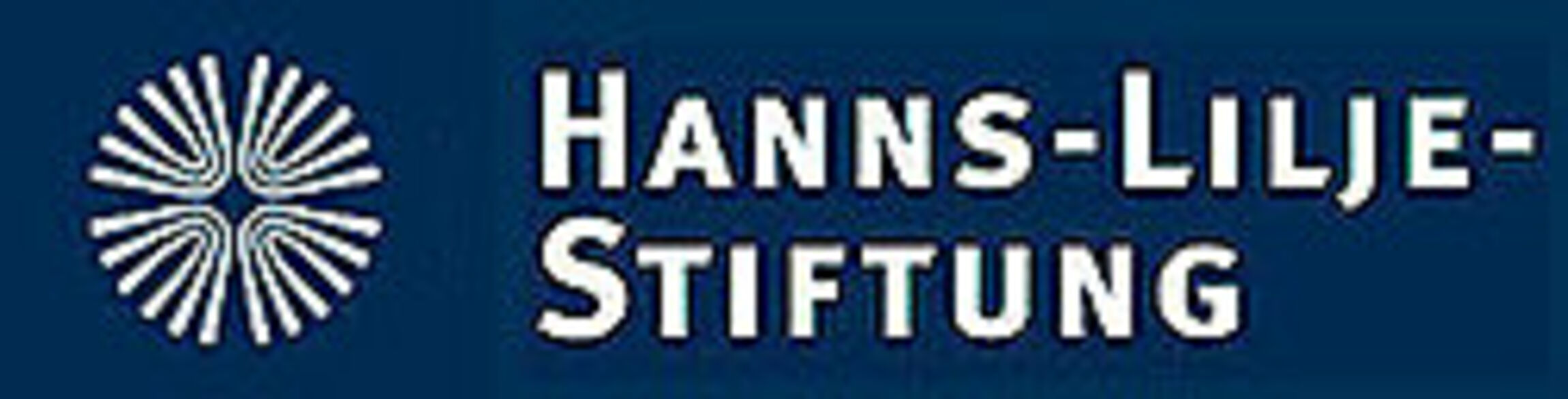 h-l-stiftung logo