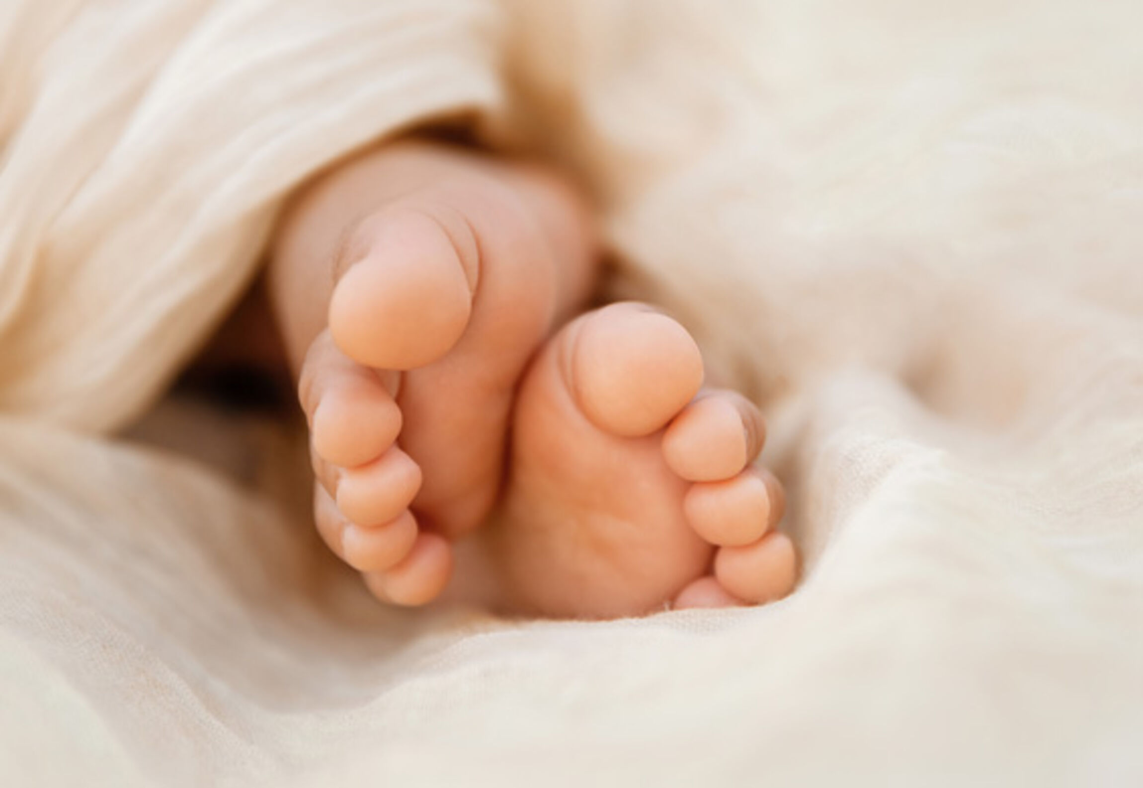 Foto: Evgeniyaphotography / istockphoto.com 