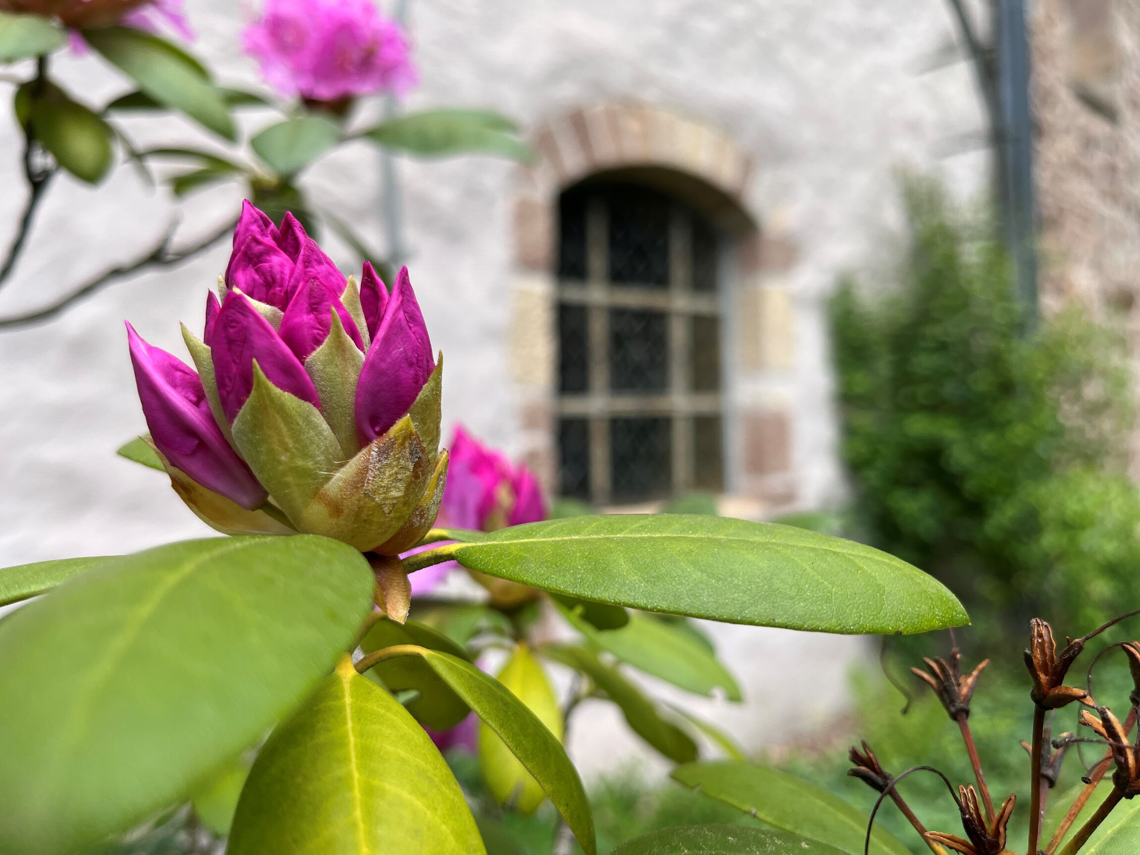 Foto: Klaas Grensemann, Kloster Bursfelde