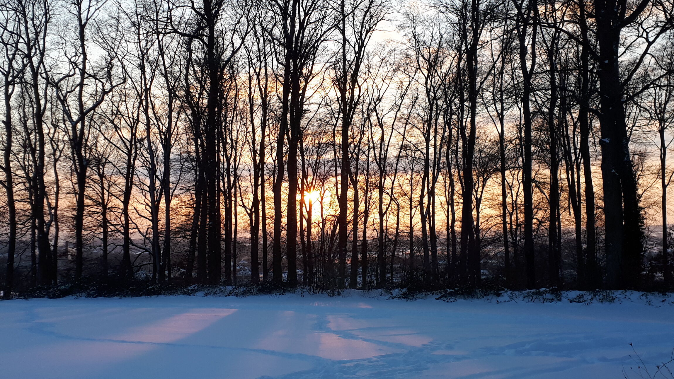Winter an der Waldbühne