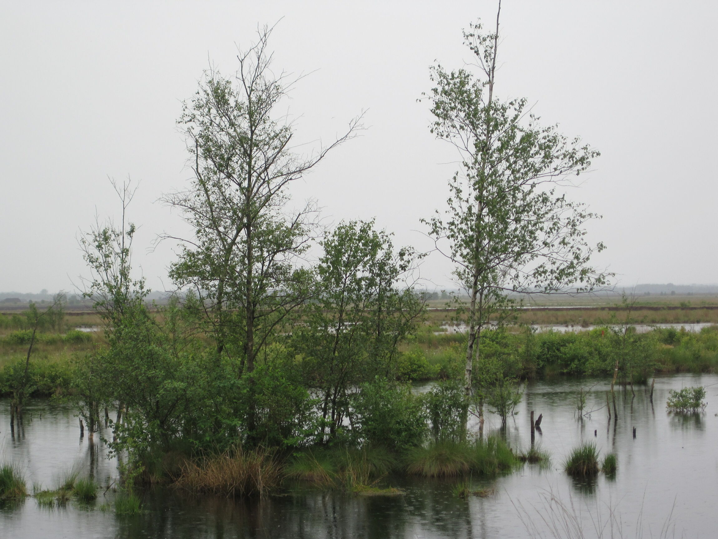 Herbststimmung am Wasser