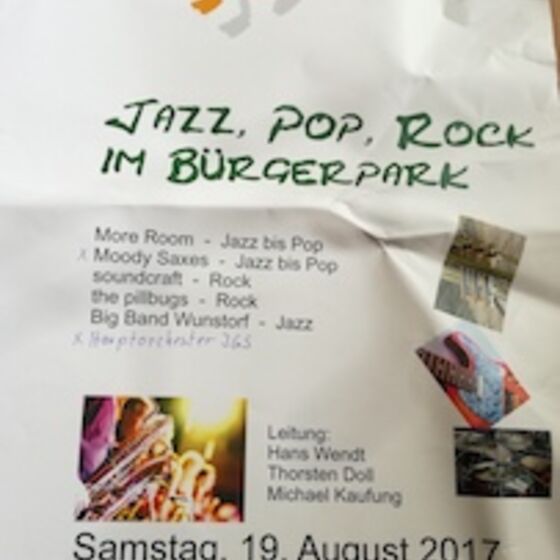 5_Konzert im Bürgerpark 19-08-2017