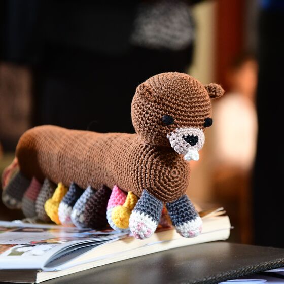 Ein Murmelentenmausefüsslerkatzenschweinefantenbär (Foto: I. von der Heyde)