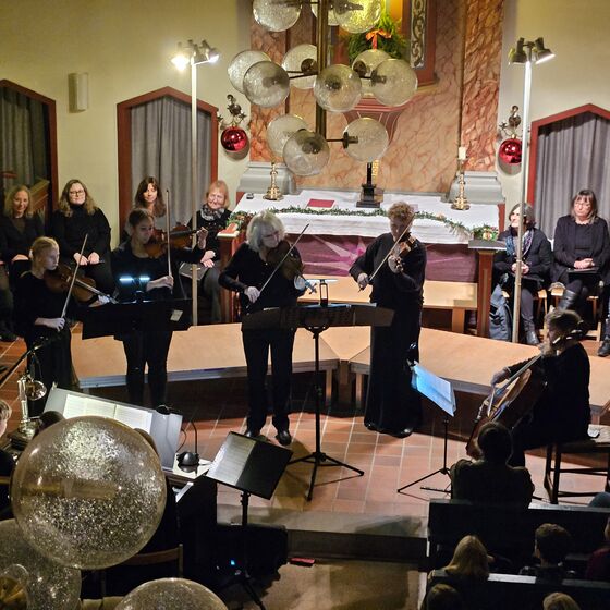 Das Streicherensemble (Foto: L. Heinke)