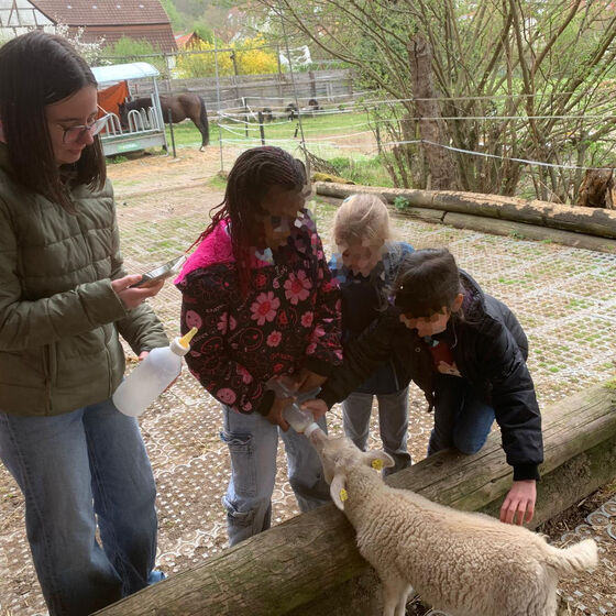 Lämmer füttern (Foto: M. Stietenroth)