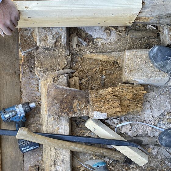 Mauerlatte (Foto: H. Meenken)