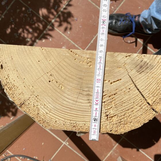 Nagespuren Käfer (Foto: H. Meenken)