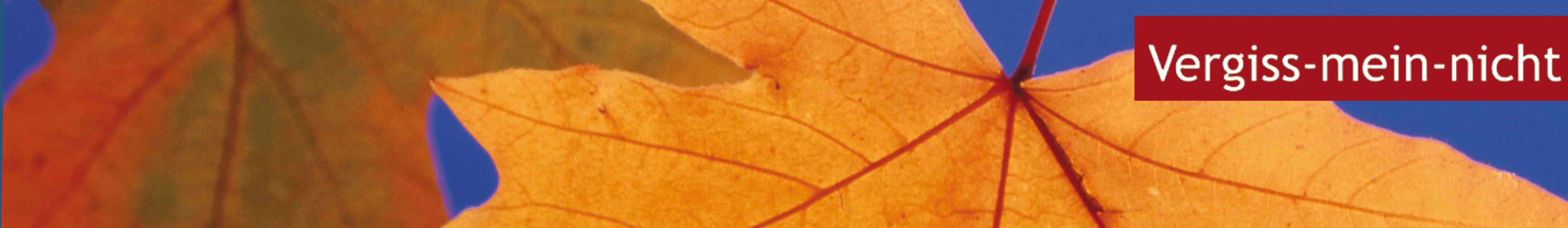 demenz-rote-kopfbild-okapia-