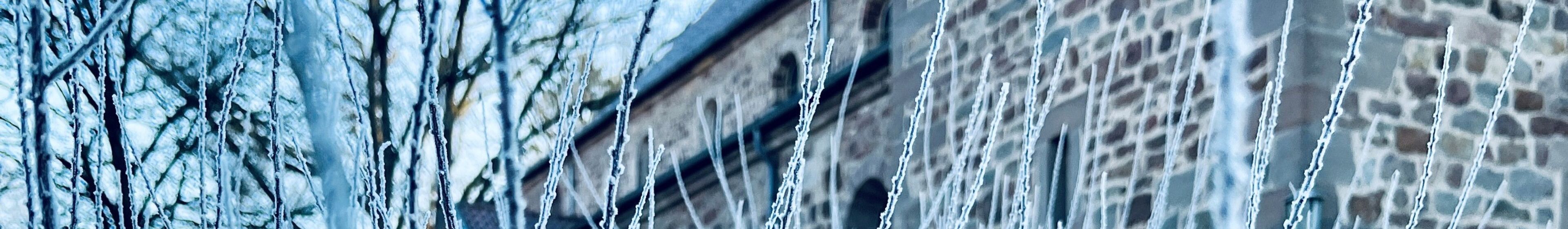 Foto: Klaas Grensemann, Kloster Bursfelde