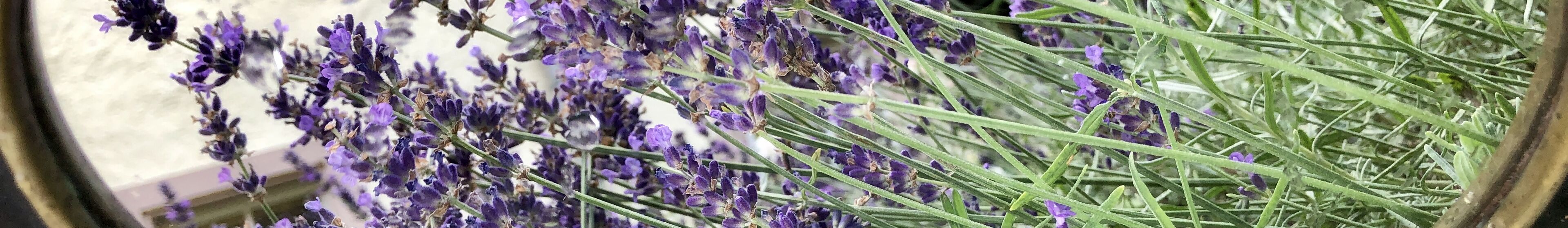 Foto: Klaas Grensemann, Kloster Bursfelde