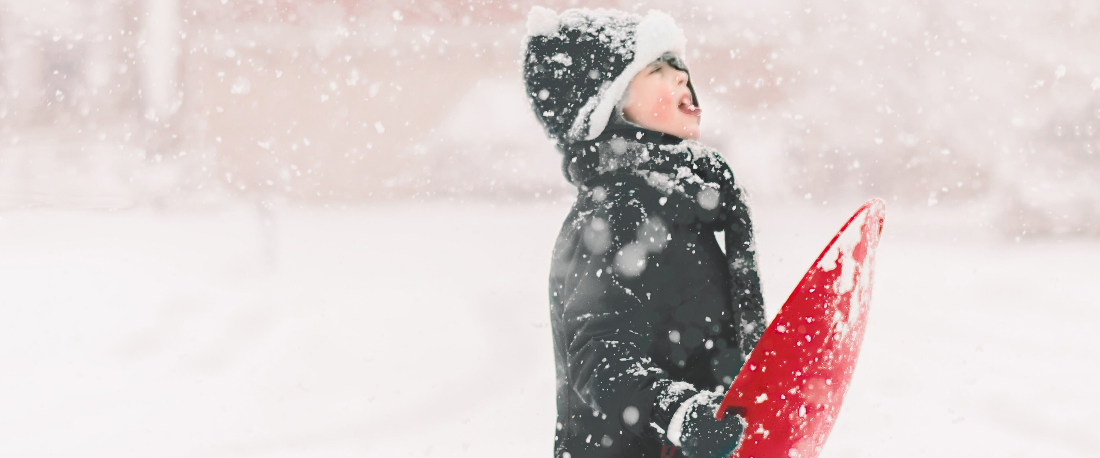 Foto: Meghann Feldwieser/Pixabay