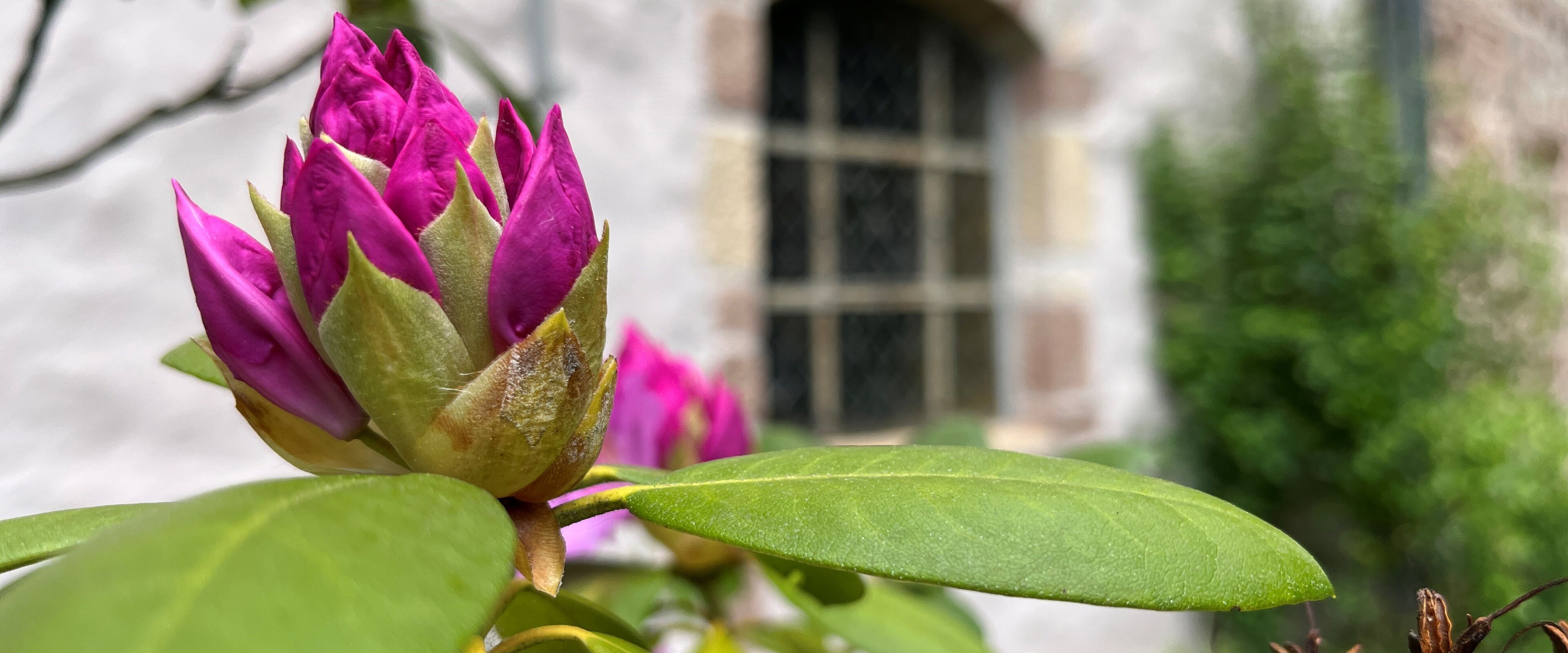 Foto: Klaas Grensemann, Kloster Bursfelde