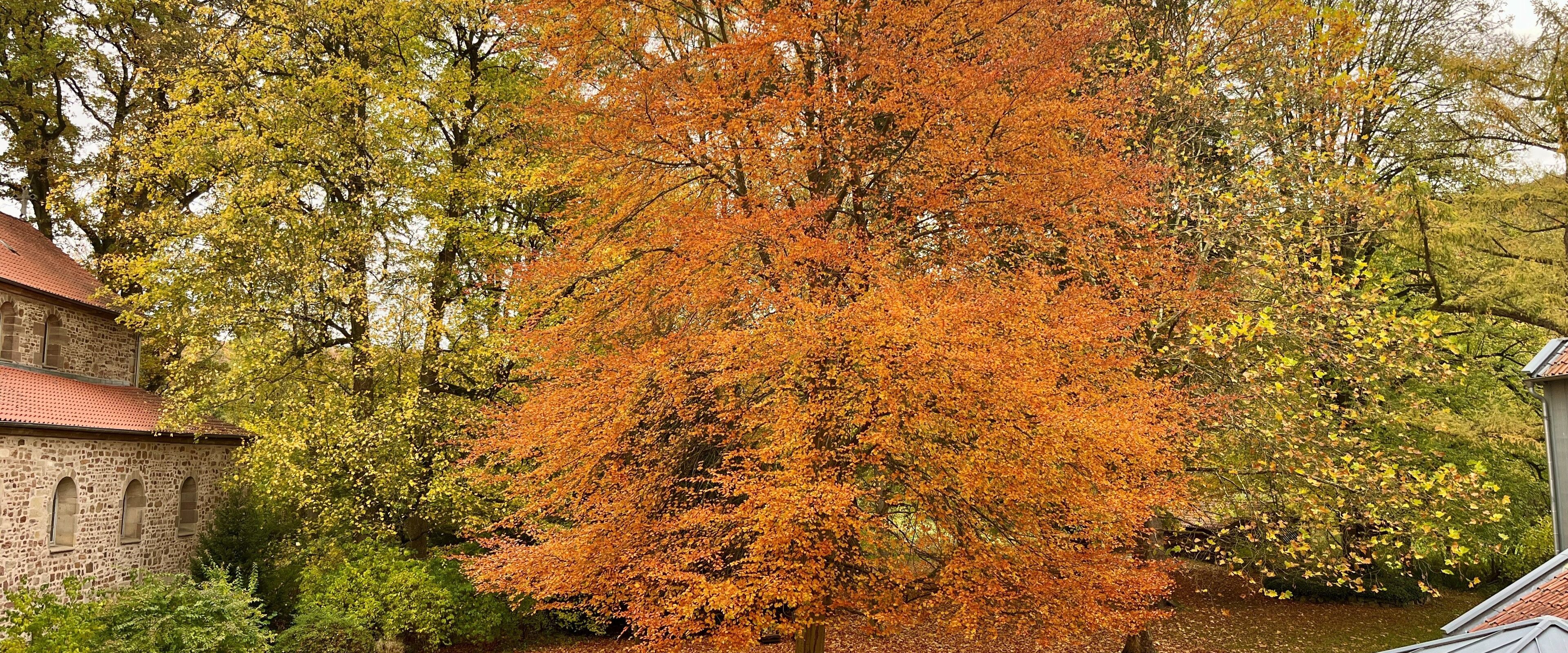 Foto: Klaas Grensemann, Kloster Bursfelde