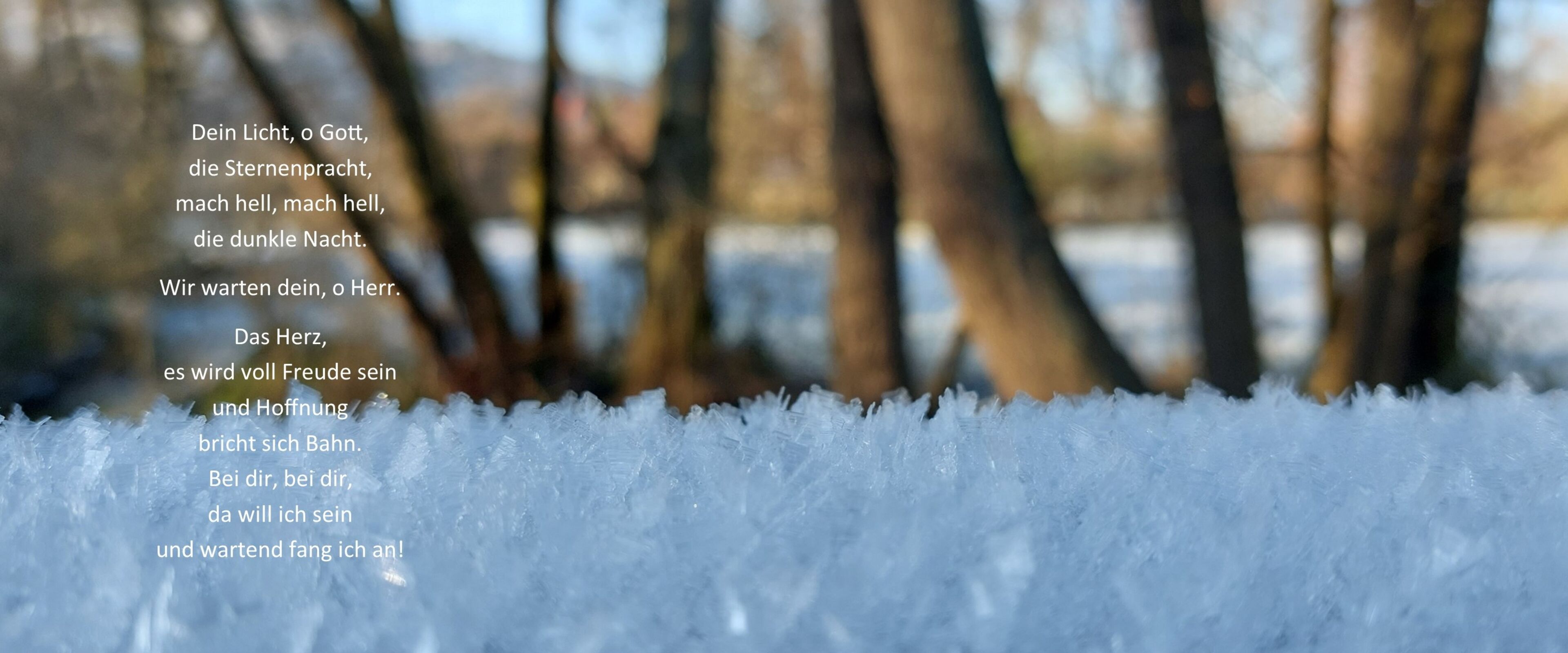 Foto: Marie Kleinhans, Scheden Text Klaas Grensemann