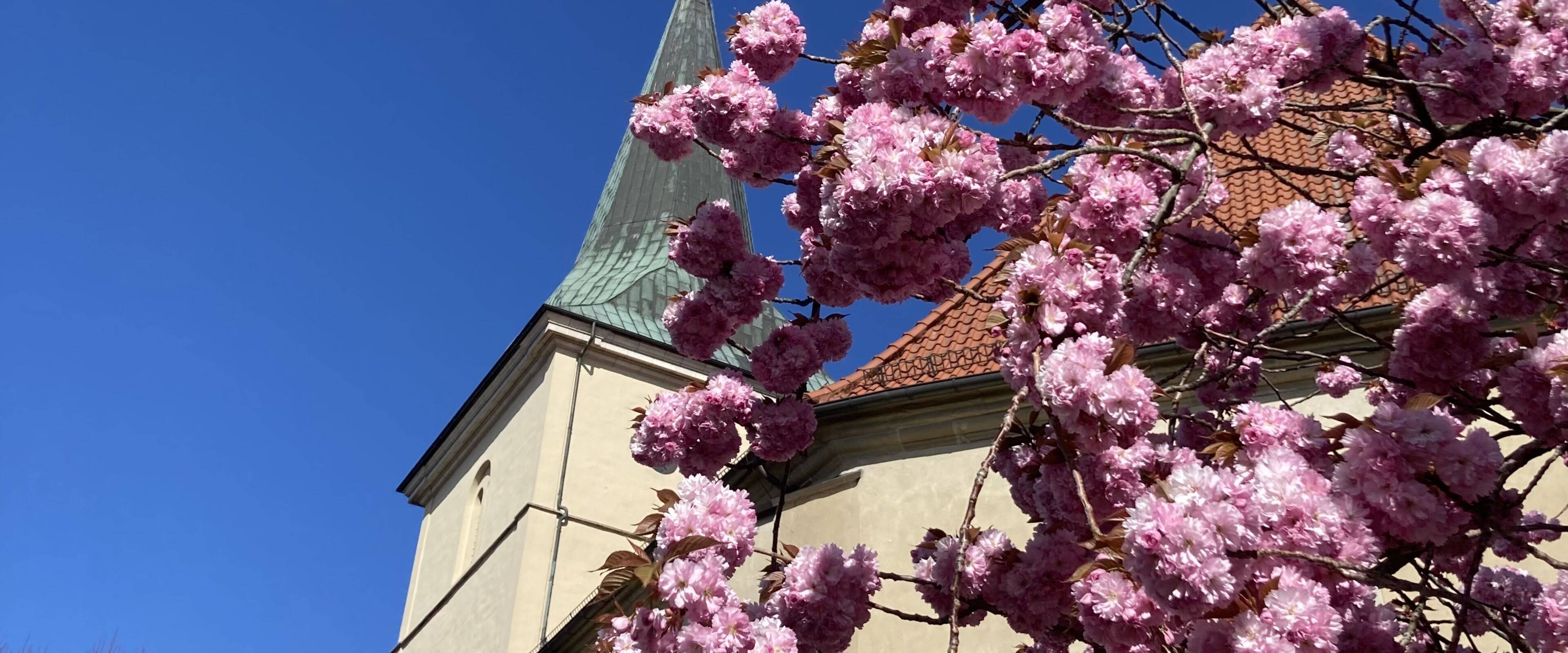 St.-Petri-Kirche im Frühling