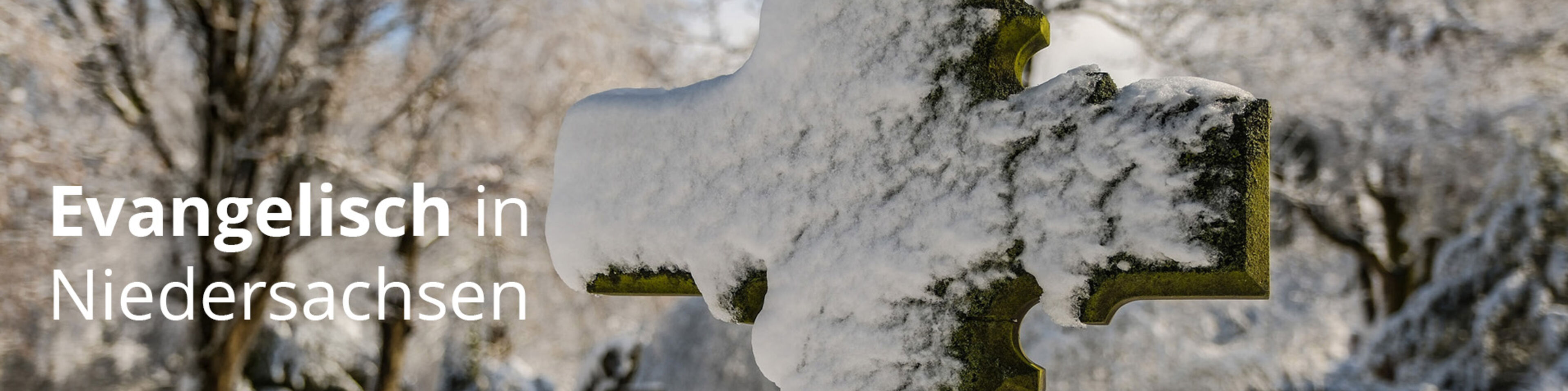 Slider_Winter_mittel