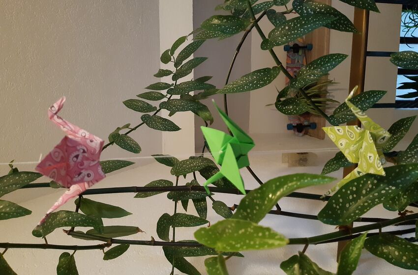 Die Kraniche fliegen wieder (Foto: E. Baier)