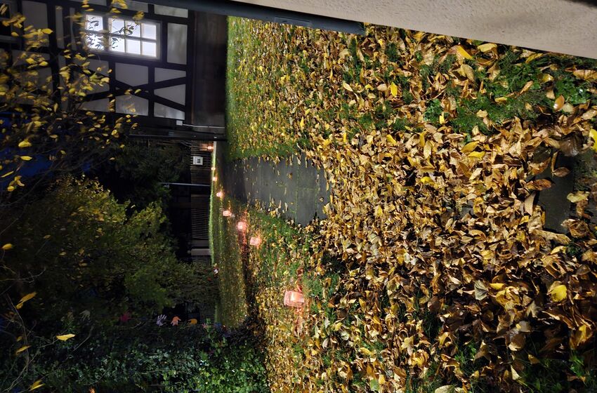 Weg im Herbst (Foto: L. Heinke)