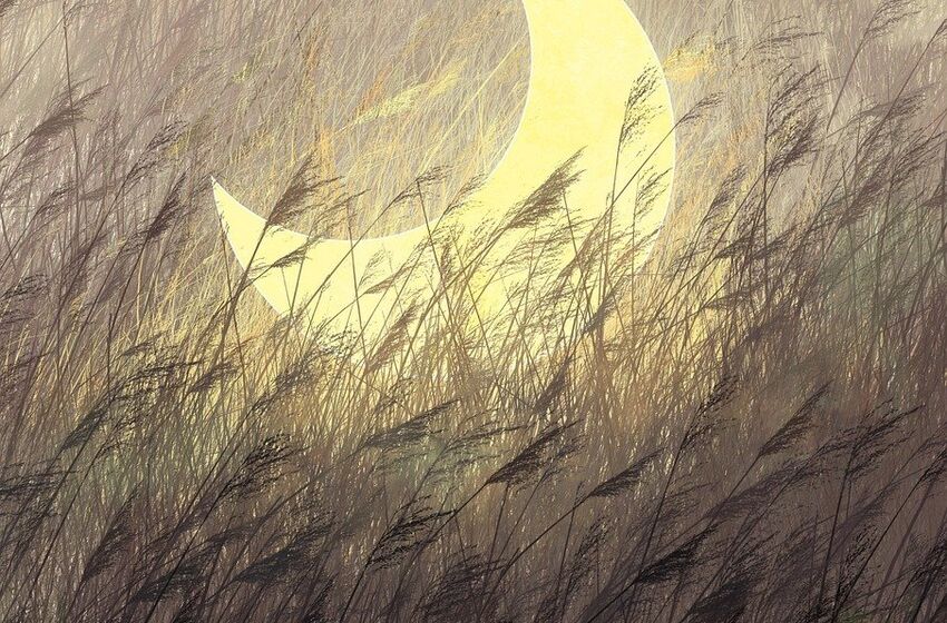 Moon (Bild von Hello Cdd20 auf Pixabay)