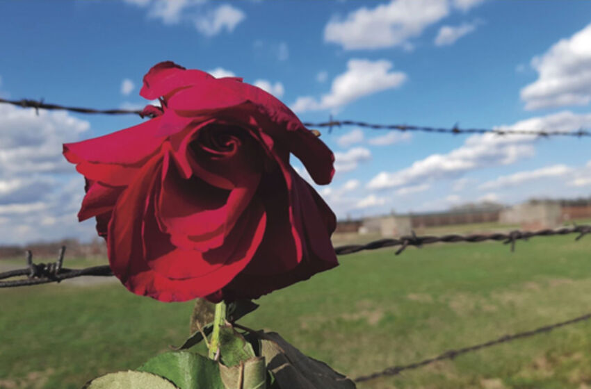 Foto: Felicitas Schwesig / Evangelische Jugend Wolfsburg-Wittingen