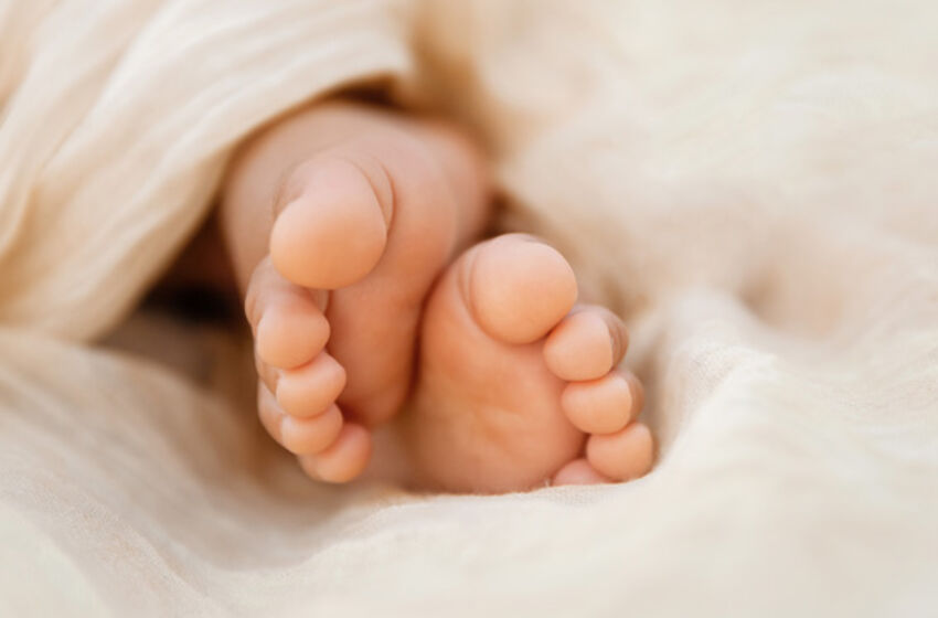 Foto: Evgeniyaphotography / istockphoto.com 