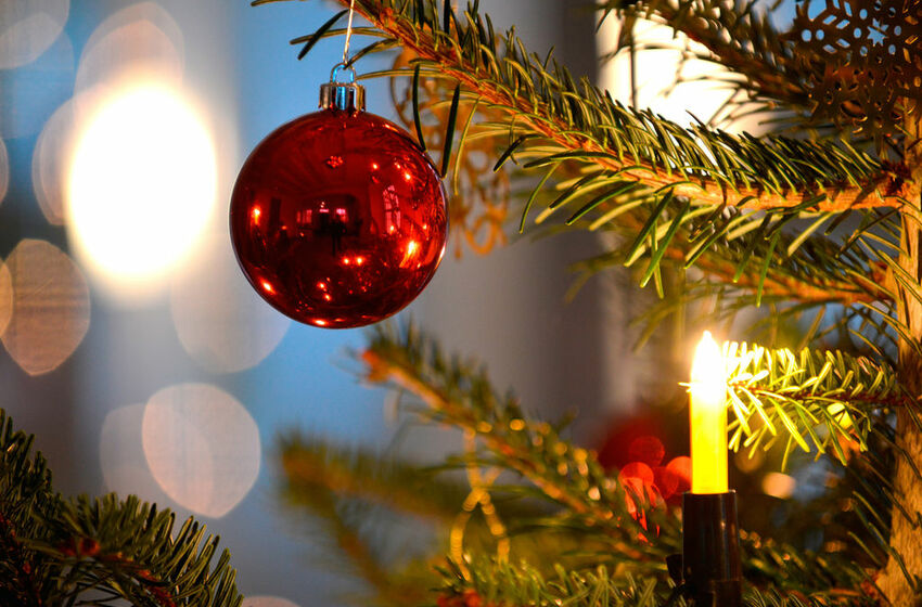 Christbaumkugel am Weihnachtsbaum - Foto: Jens Schulze