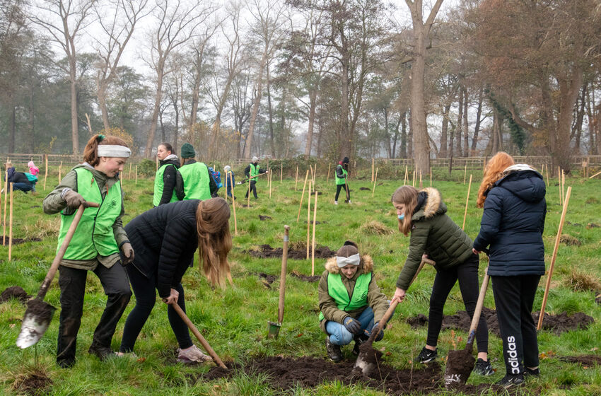 6.500 Bäume in zwei Tagen: Schülerinnen und Schüler der IGS Oyten haben ihren eigenen Schulwald gepflanzt. Foto: IGS Oyten