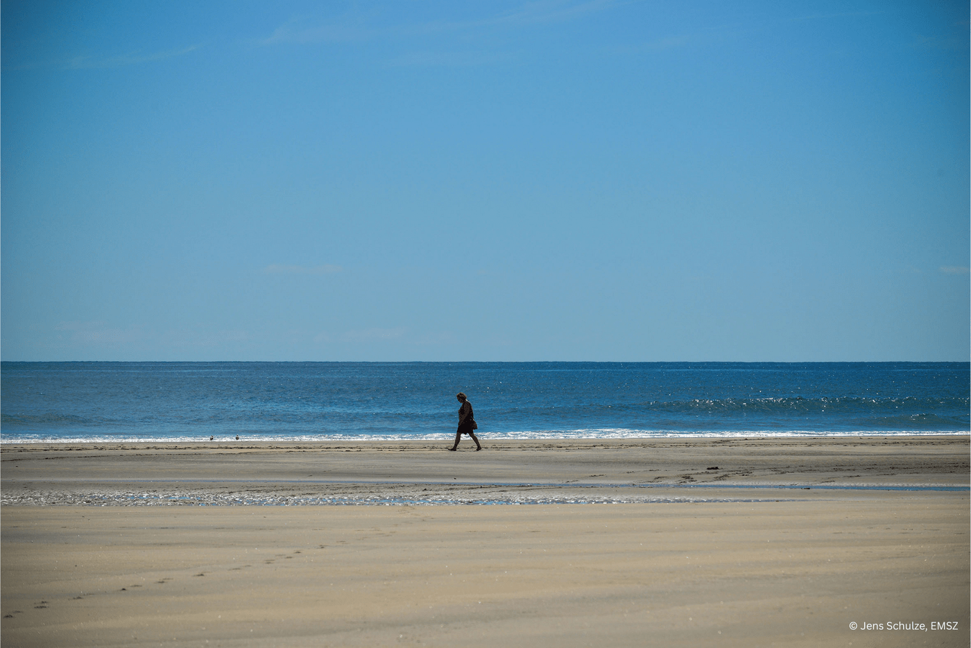 © Jens Schulze, EMSZ