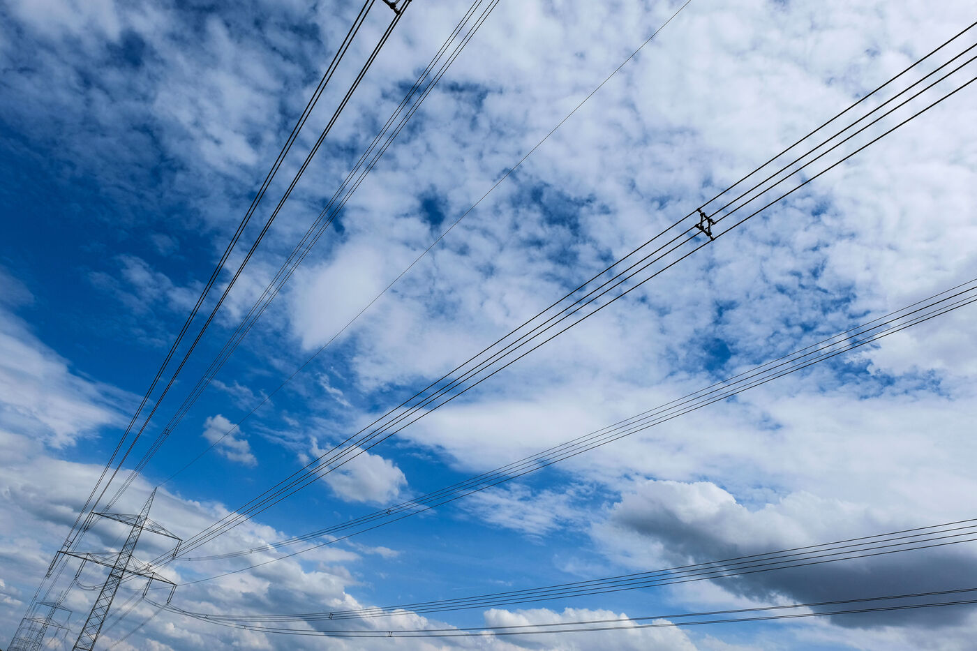 © Jens Schulze, EMSZ