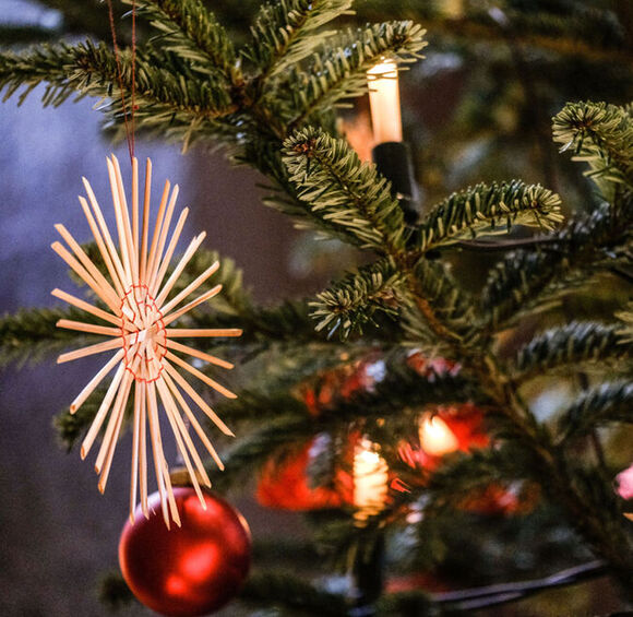 Foto: Jens Schulze / Ev. Medienarbeit