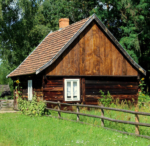 Foto: pixabay.com / Alicja